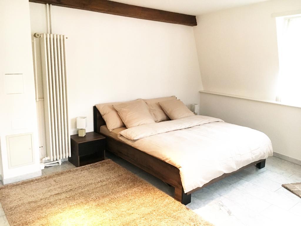 Ariba Aparthotel バーゼル エクステリア 写真