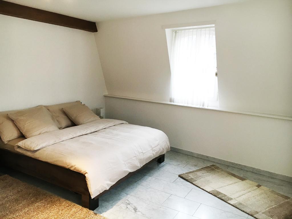 Ariba Aparthotel バーゼル エクステリア 写真